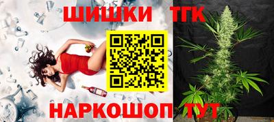 крисы Шелехов