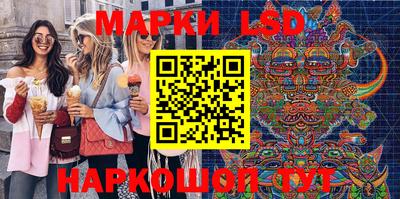 крисы Шелехов