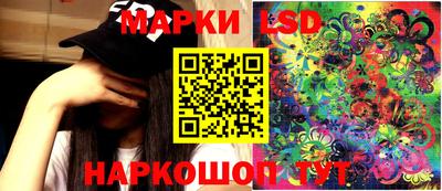 крисы Шелехов