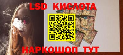 крисы Шелехов