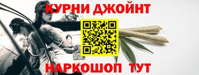 крисы Шелехов