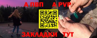 крисы Шелехов