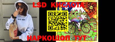 крисы Шелехов
