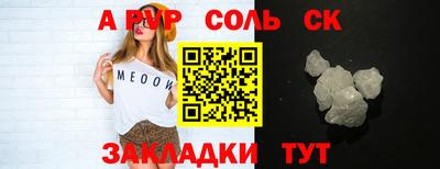 крисы Шелехов