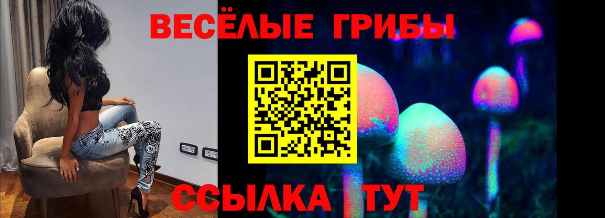 магазин продажи   Псилоцибиновые грибы мухоморы  Вход с VPN  Карпинск  Галлюциногенные грибы MAGIC MUSHROOMS 